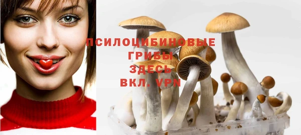 амф Беломорск