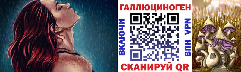 Псилоцибиновые грибы Psilocybine cubensis Кукмор